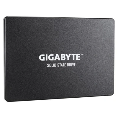 GIGABYTE SSD 1TB, GP-GSTFS31100TNTD