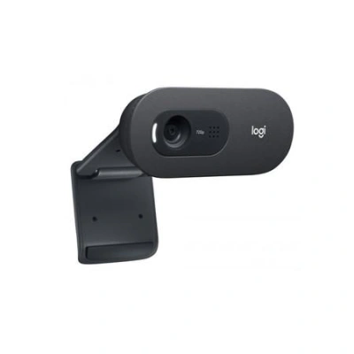 Logitech HD webkamera C505e, 960-001372