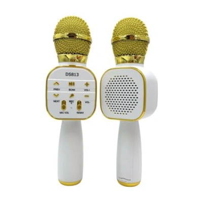 Karaoke mikrofon Eljet Star Gold, 5302