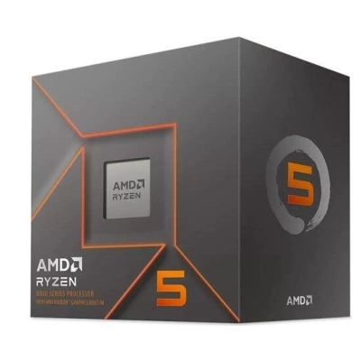 AMD Ryzen 5 8500G, 100-100000931BOX