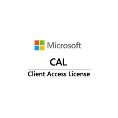 Win Server CAL 2022 (10 User), PY-WCU10CA