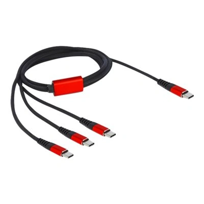 Delock - USB kabel - USB-C (M) do USB-C (M) - USB 2.0 - 5 V - 3 A - 1 m - černá/červená