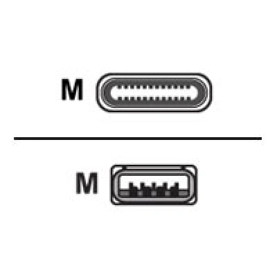 Huddly - Kabel USB - USB typ A (M) do 24 pin USB-C (M) - USB 3.0 - 1.15 m