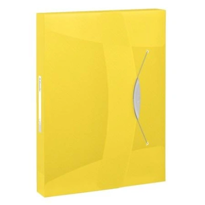 Box na dokumenty Esselte VIVIDA, 40 mm, žlutá, 624052